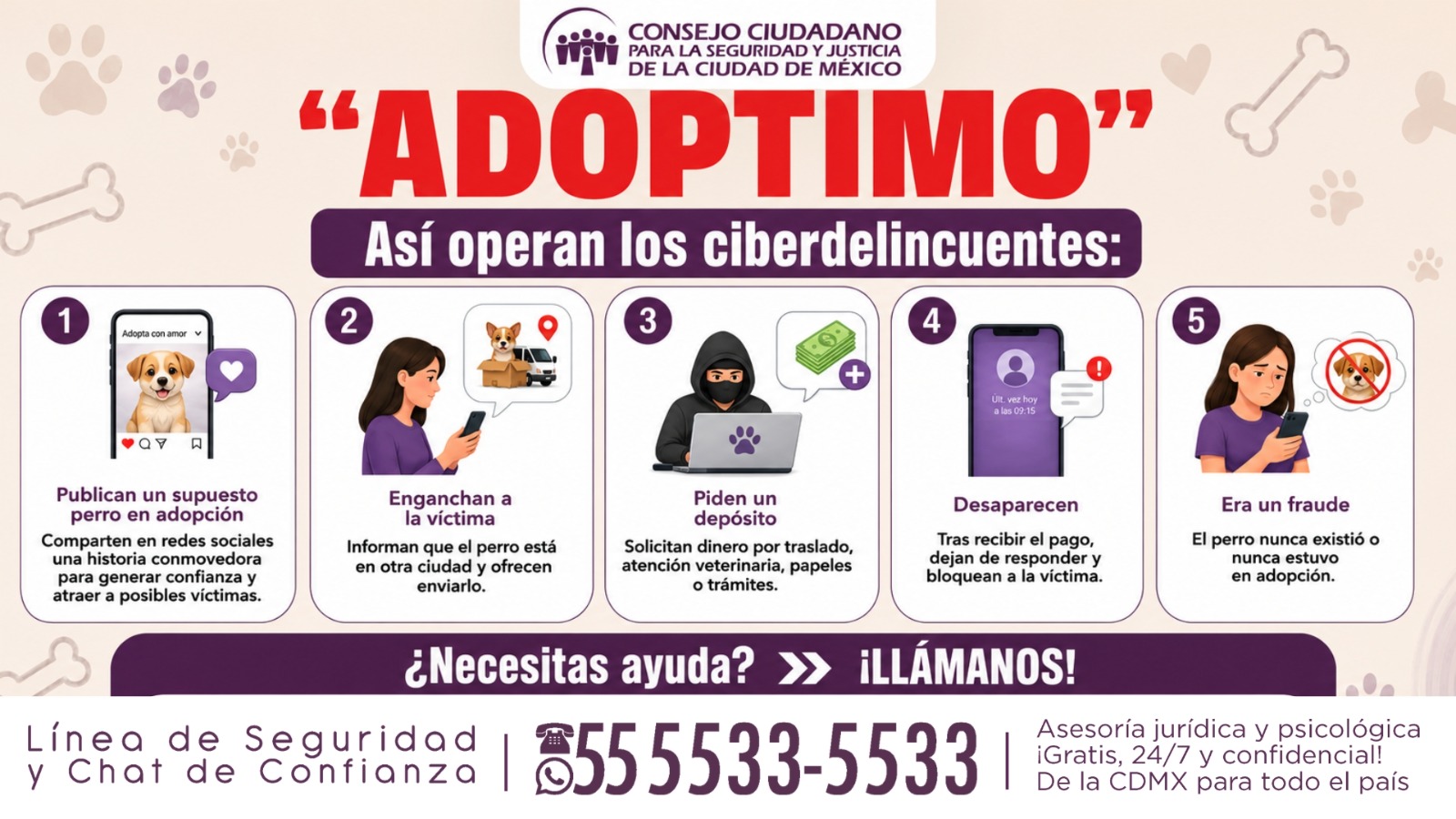 ADVIERTE CONSEJO CIUDADANO SOBRE ADOPTIMO: NUEVA MODALIDAD DE FRAUDE EN ADOPCIÓN DE ANIMALES DE COMPAÑÍA